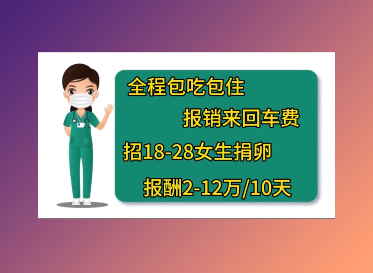 上海供卵助孕人授和试管的成功率